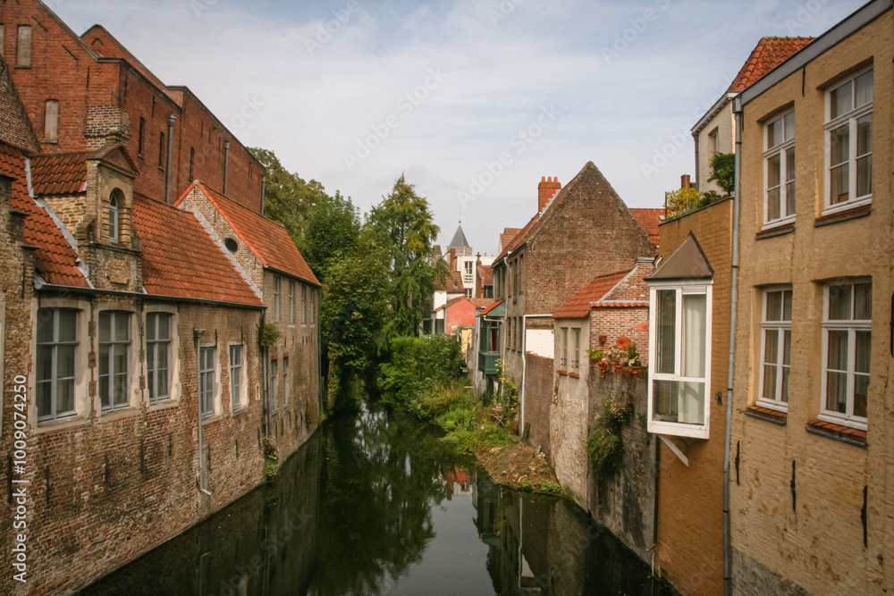Fototapeta premium Canal between the houses in Bruges, Belgium