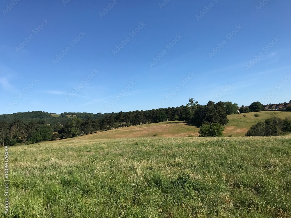 Obraz premium field and blue sky
