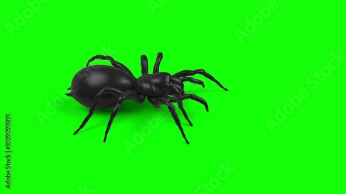 Side view of big black spider with big fangs and hairy legs walk animation loop on green screen, VFX element - 60 fps, 4K Pro Res with mask pass