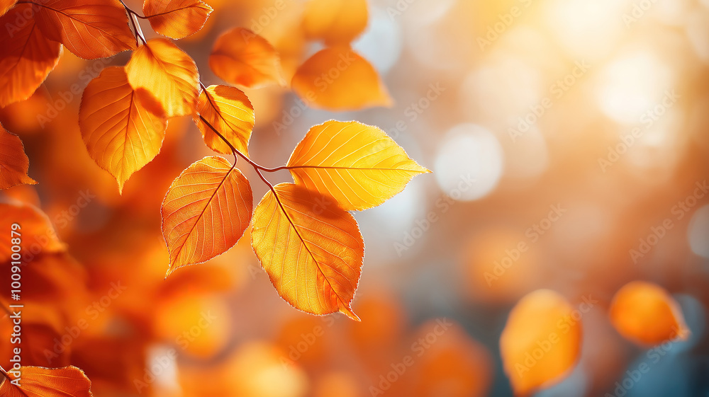 Stylish Background Showcasing the Charm of Orange Leaves During the Fall Season Stylish Background Showcasing the Charm of Orange Leaves During the Fall Season