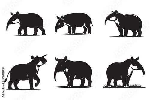 Silhoutte image of a Tapir white background
