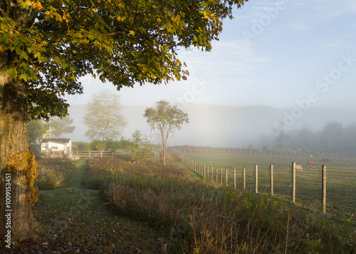 Tranquil scene of  farmland upstate New York, showcasing beauty of autumn foggy mornings
