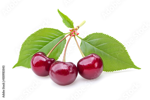 Cherry berry with leaves isolated on white background