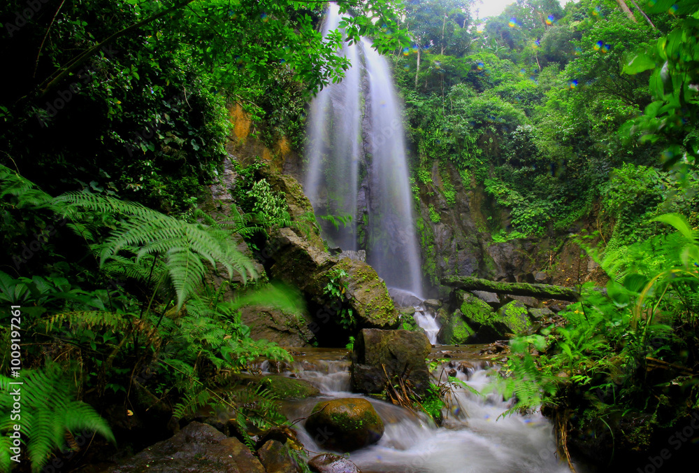 Fototapeta premium Cachoeira cascata de noiva