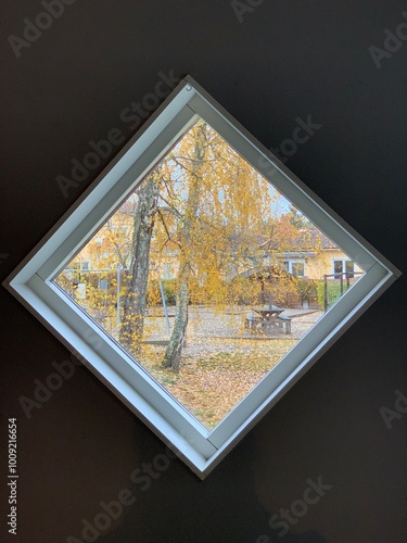 View from a window