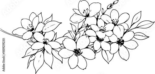 Flowers Ornament Line Art Vector Drawing. Linear Drawing of Floral Contour Ornament. Flowers with Leaves Branch Black Sketch Illustration on White Background