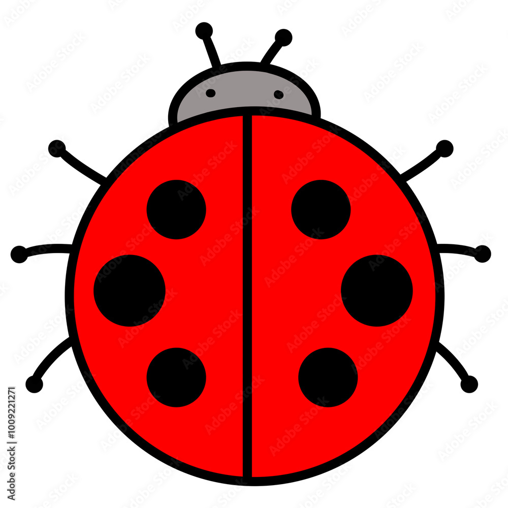 Ladybug Ladybug