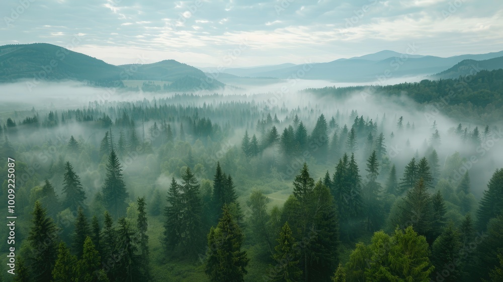 Beautiful Misty Forest Landscape with Mountain Views. Aerial View of the Carpathian Mountains, Printable Wall Art Beautiful Misty Forest Landscape with Mountain Views. Aerial View of the Carpathian Mountains, Printable Wall Art