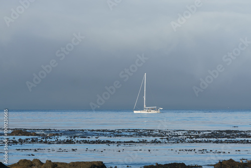 Tableau sur toile Sailboat on Pacific