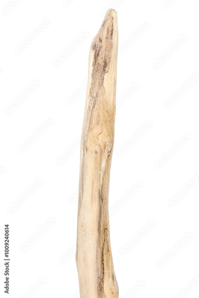 Part of driftwood isolated on white Part of driftwood isolated on white