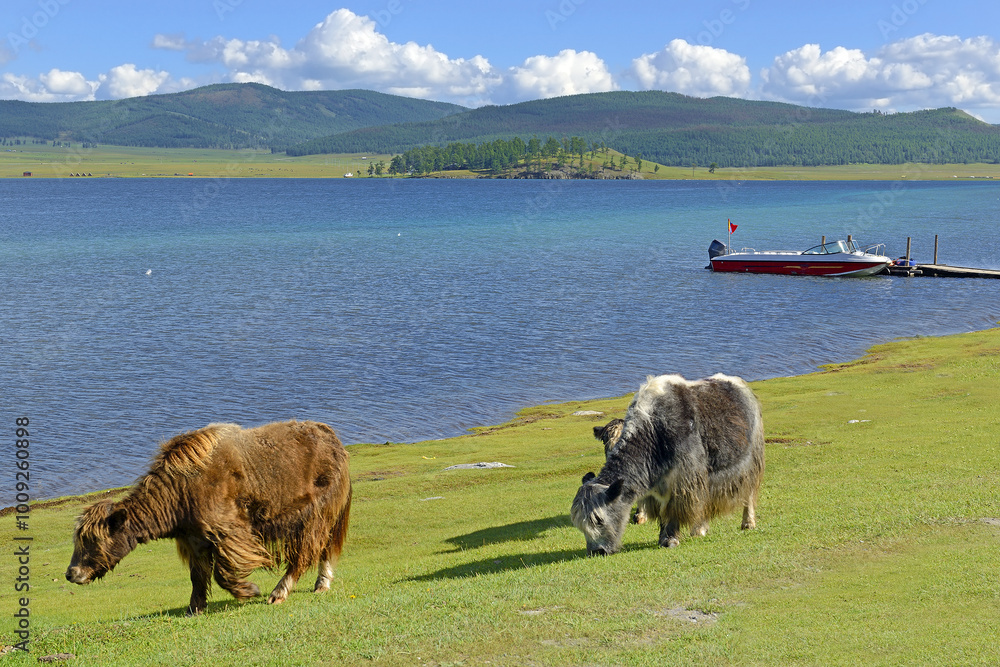 Lake Chövsgöl núr (Khövsgöl), Khövsgöl lake and Bulgan aimags in northern Mongolia