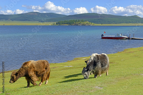 Obraz na płótnie Lake Chövsgöl núr (Khövsgöl), Khövsgöl lake and Bulgan aimags in northern Mongolia w salonie