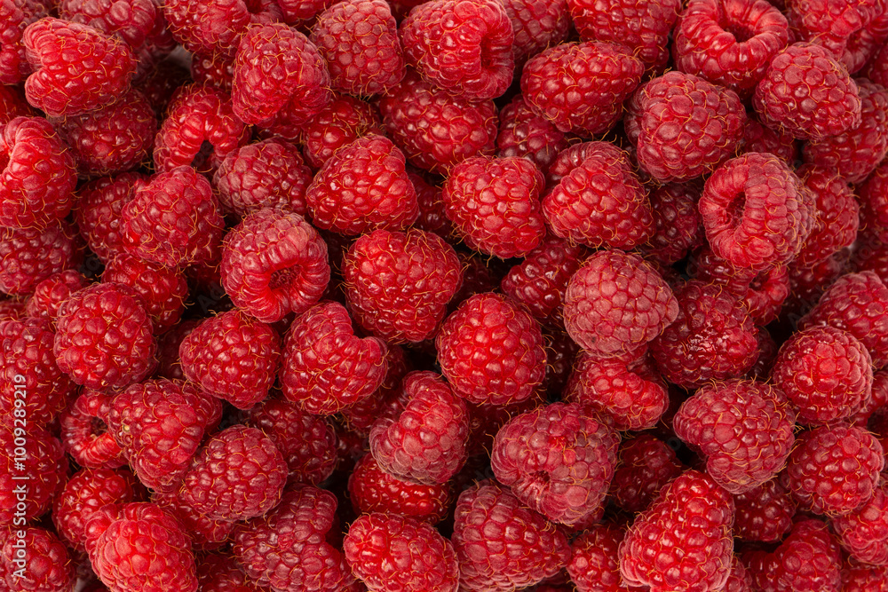 Tasty fresh raspberry as a background. Tasty fresh raspberry as a background.