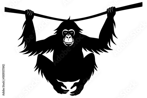 Orangutan Silhouette with Long Arms Sitting or Hanging from a Branch photo