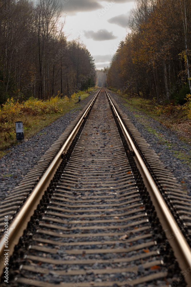 The railway track stretches into the distance towards the horizon, autumn time The railway track stretches into the distance towards the horizon, autumn time