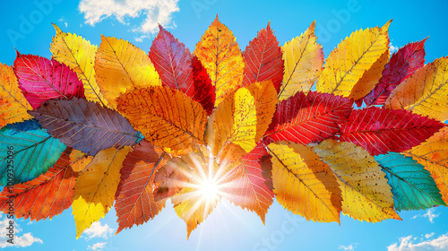 Vibrant autumn leaves in red, orange, and yellow hues are illuminated by sun against clear blue sky, creating stunning and colorful display photo