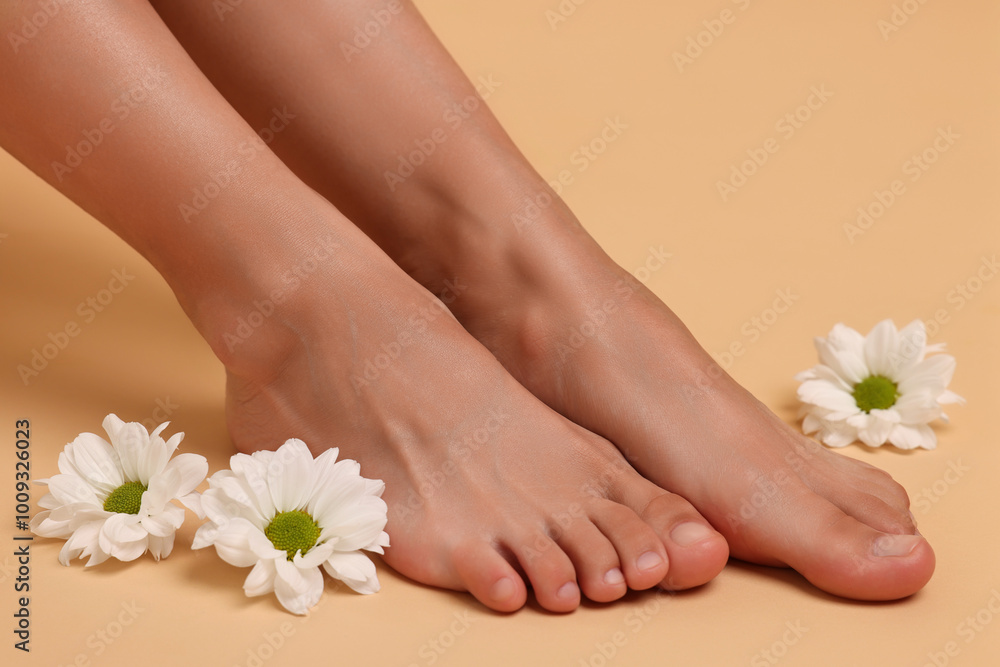 Woman with smooth feet and chrysanthemum flowers on beige background, closeup Woman with smooth feet and chrysanthemum flowers on beige background, closeup