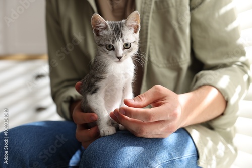 Man with cute kitten at home, closeup photo