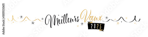 Meilleurs voeux 2025 (Meilleurs voeux 2026 disponible)