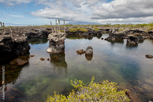 
Las Tintoreras is a small group of islets located near the coast of Isabela Island in the Galápagos. This area is named after the 