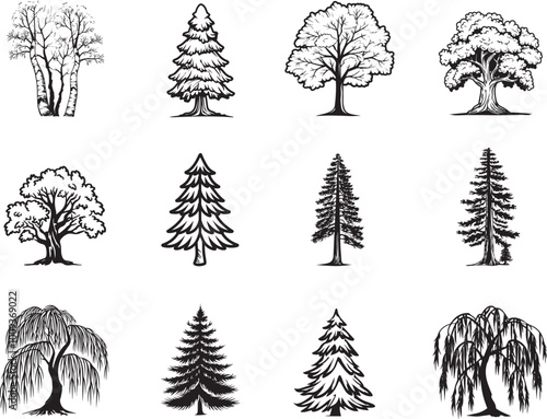 12 Tree Set Icon Black Outline and Silhouettes in Eps Vector, Trees Included Oak, Pine, Maple, Cedar, Birch, Redwood, Willow, Spruce