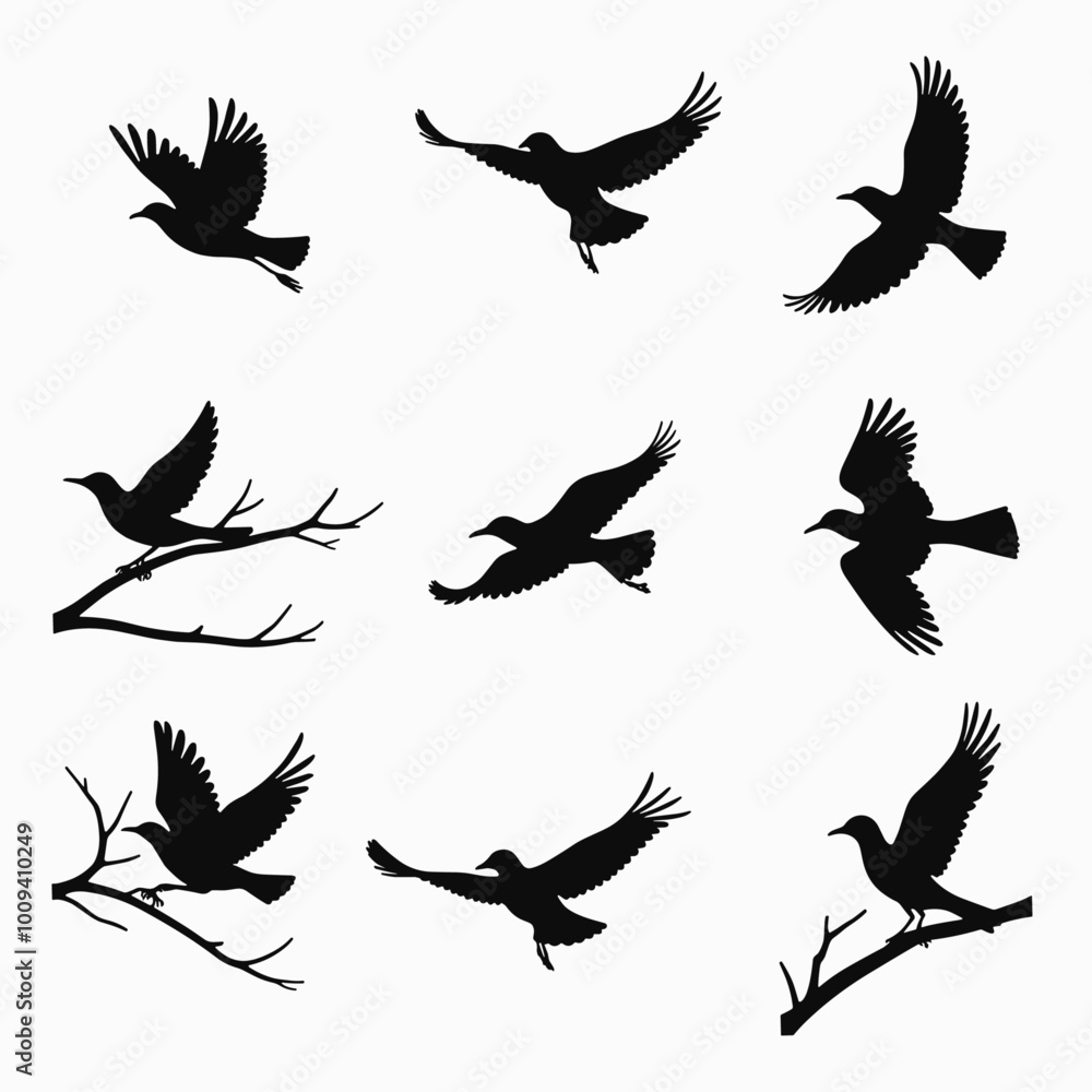 Fototapeta premium Silhouettes of birds in various poses against a simple white background, showcasing elegance and grace in flight and perched on branches.