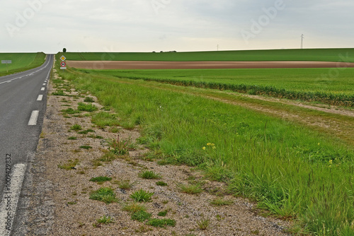 La campagna francese tra chalon in champagnee L'Épine, Champagne, Marna - Francia photo