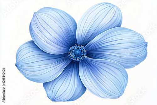 blue chrysanthemum flower