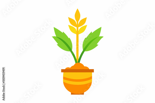 Turmeric Plant Tied around the Pongal pot as a symbol of prosperity