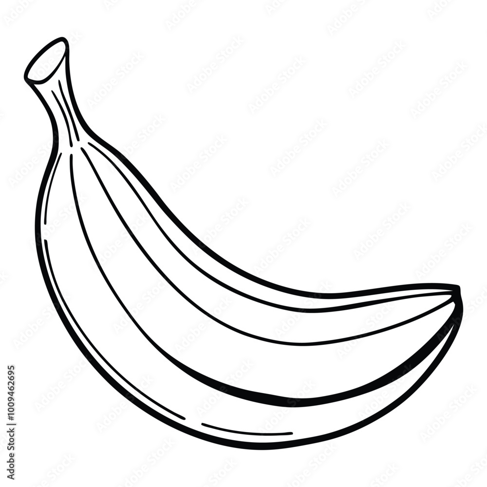 illustration of a banana illustration of a banana