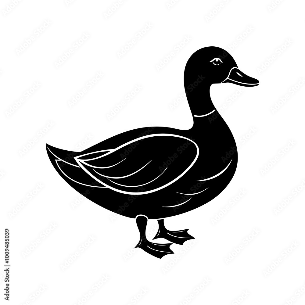 duck isolated on white background duck isolated on white background