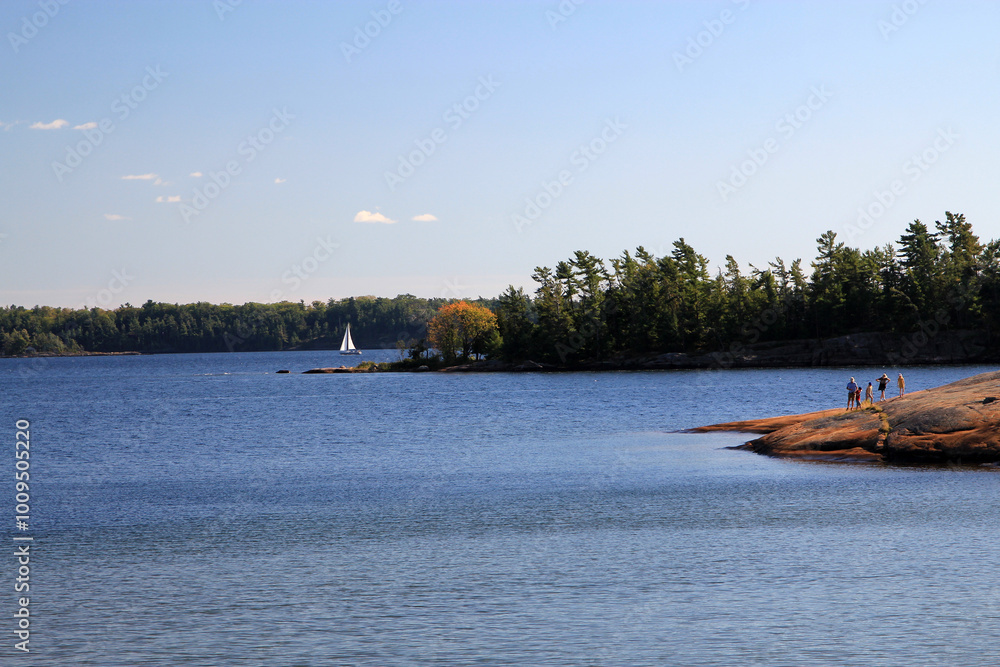Obraz premium Landscape with lake and forest