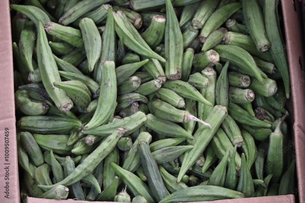 Fresh okra on the market in Cape Town. Close-up. Fresh okra on the market in Cape Town. Close-up.
