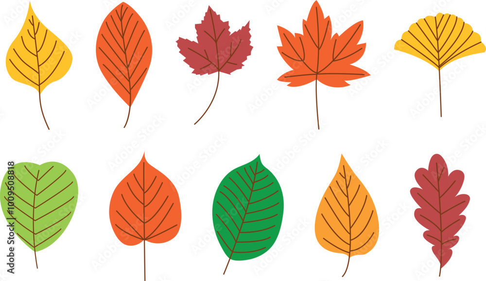 Autumn leaf set. Fall botany. Seasonal foliage Autumn leaf set. Fall botany. Seasonal foliage