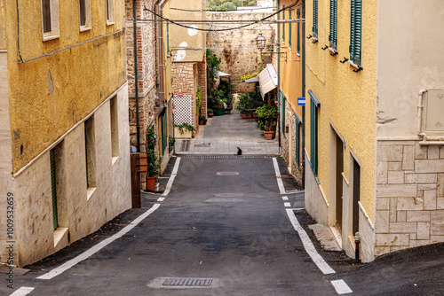 Quiet alley in Talamone, Tuscany, showcasing traditional Italian architecture with colorful walls and shuttered windows. A peaceful glimpse into local Italian life