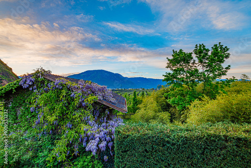 A scenic countryside landscape with a charming ivy-covered house adorned with blooming wisteria, set against the backdrop of rolling hills and a vibrant, blue sky at sunset