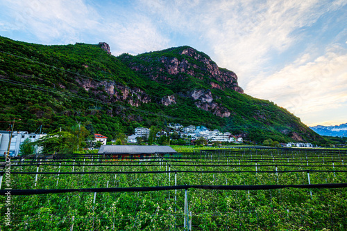A scenic view of a lush green vineyard beneath towering hills with a small village nestled at the foot of the mountains. The landscape is set under a bright, partly cloudy sky