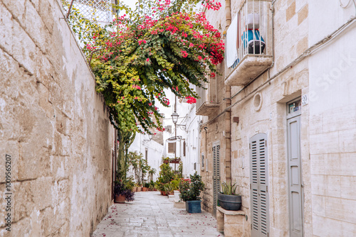 Fototapeta Naklejka Na Ścianę i Meble -  Polignano a Mare street view in the Historic Center, Italy