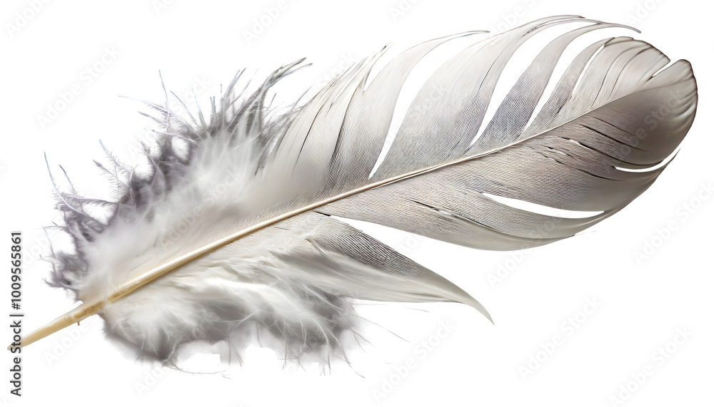 White feather set. Generative AI. White feather set. Generative AI.