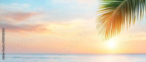  The sun sets over the ocean, with a palm tree in the foreground and the vast expanse of water in the background