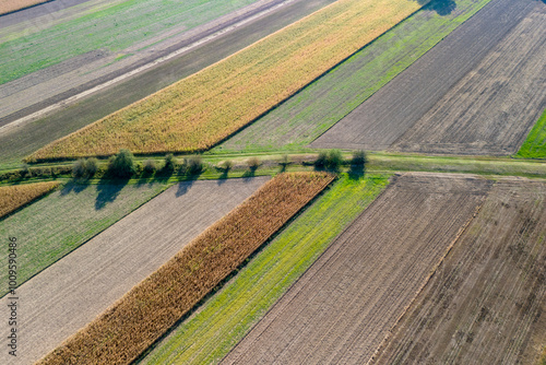 An aerial view of vibrant agricultural fields showcasing different shades of green, yellow, and brown patterns. The landscape is peaceful and reflects the beauty of rural farming. photo