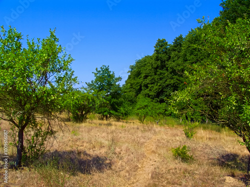 Urlaub in der schönen Natur der Uckermark