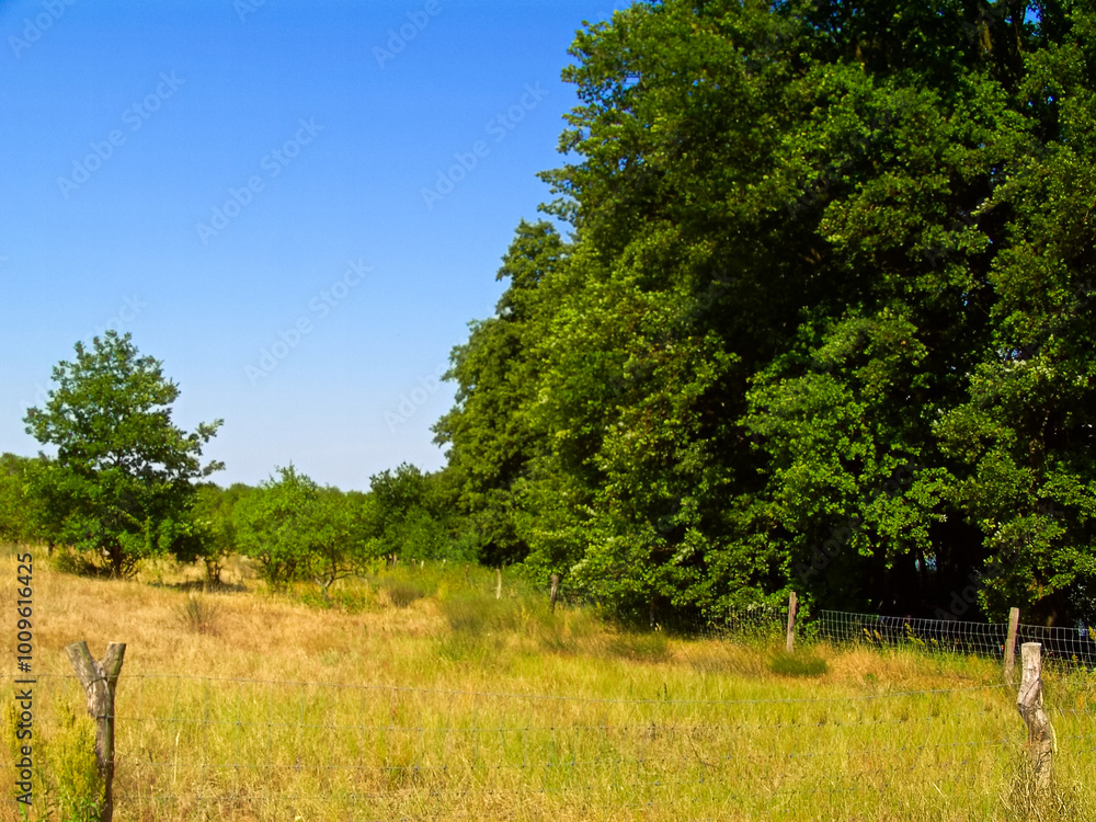 Urlaub in der schönen Natur der Uckermark Urlaub in der schönen Natur der Uckermark