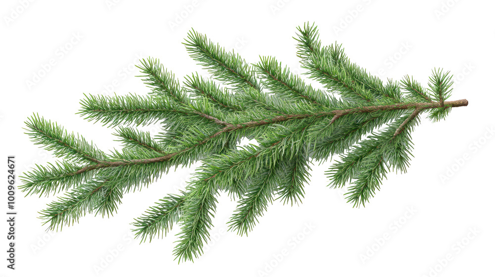 christmas tree branch christmas tree branch