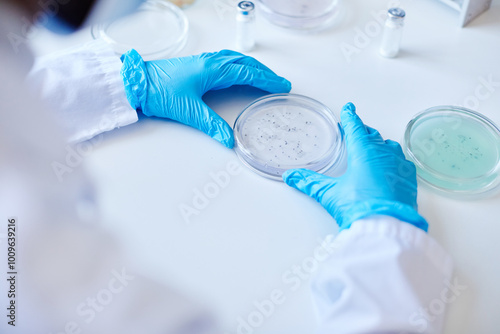 Fotografie Top view of unrecognizable biochemist hands in blue gloves culturing bacteria in
