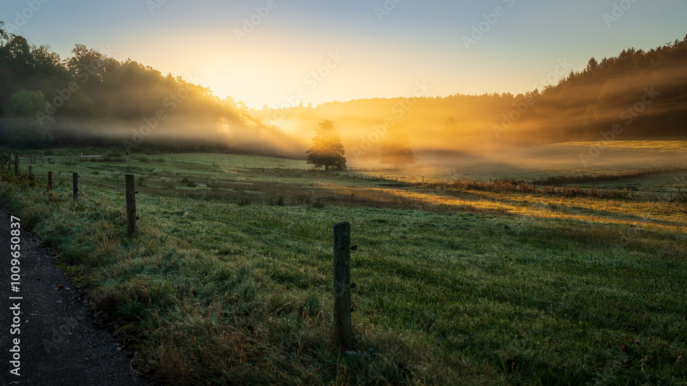 custom made wallpaper toronto digitalBeautiful sunrise over a pasture shrouded in fog in the autumnal northern Black Forest