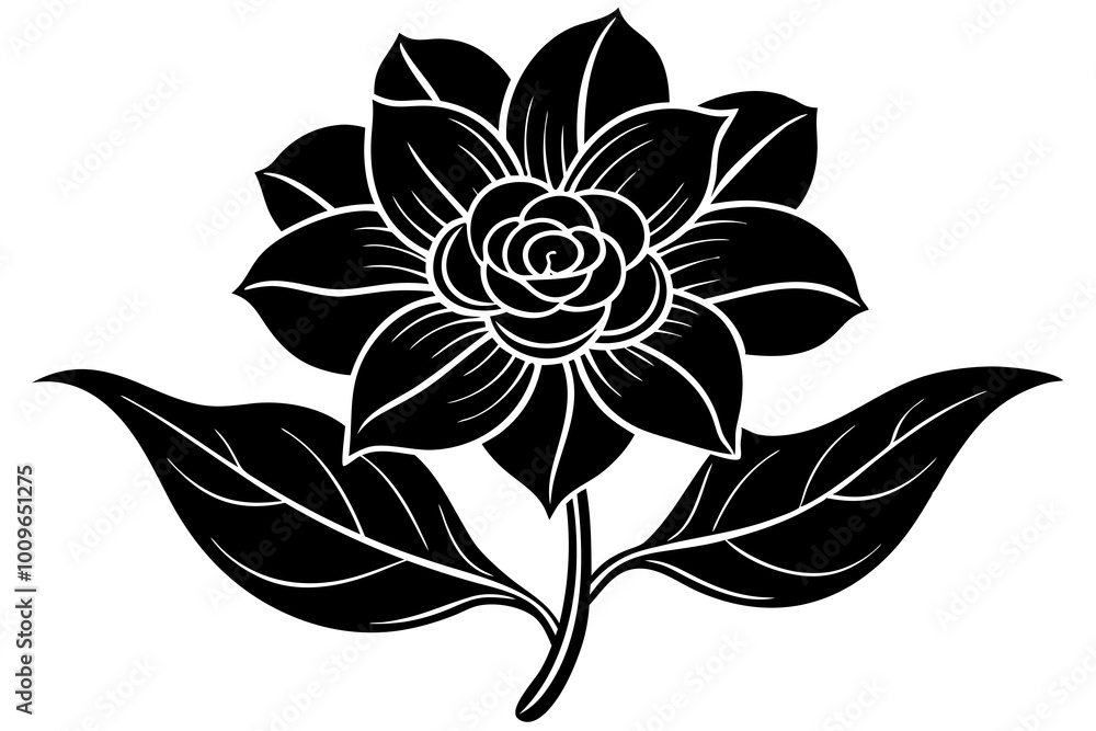 Fototapeta premium black and white flower isolated