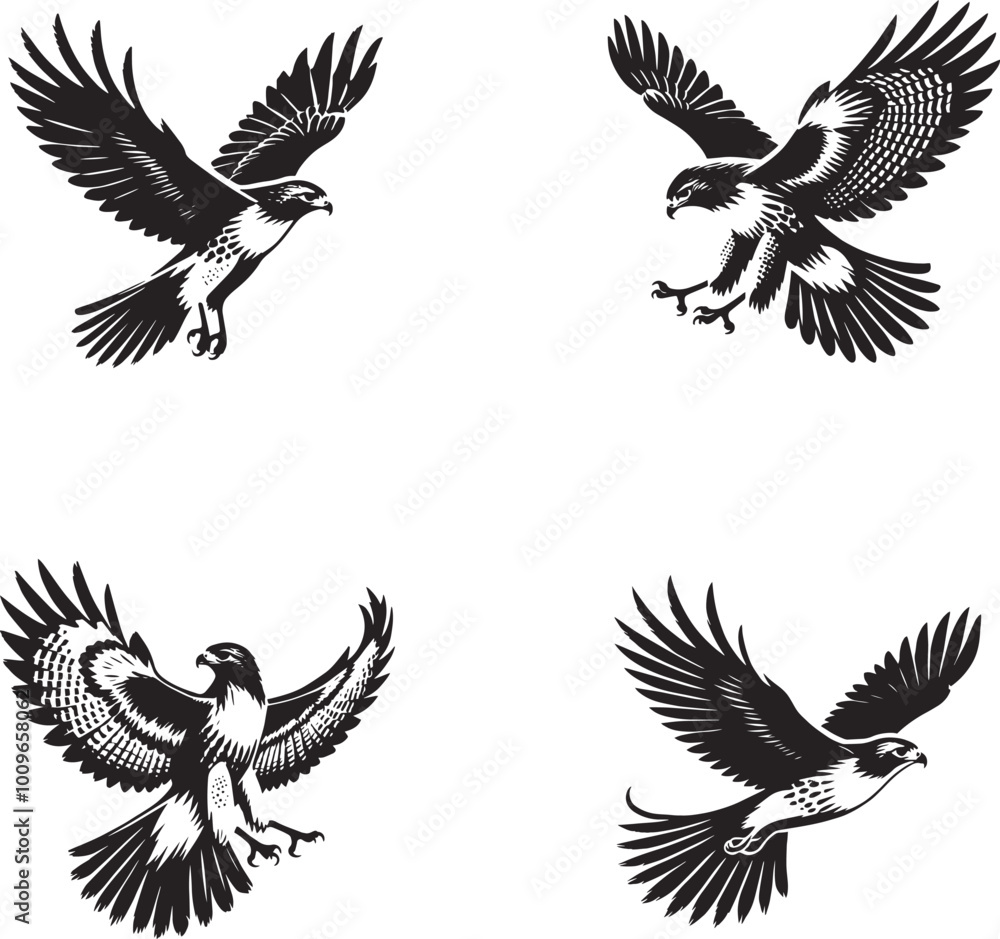 Obraz premium Majestic Red-tailed Hawk in Flight: Stunning Wildlife Illustration