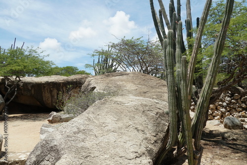 Ayo and Casibari rock formations in Aruba are clusters of volcanic rocks dotted with cacti, situated near Oranjestad. photo