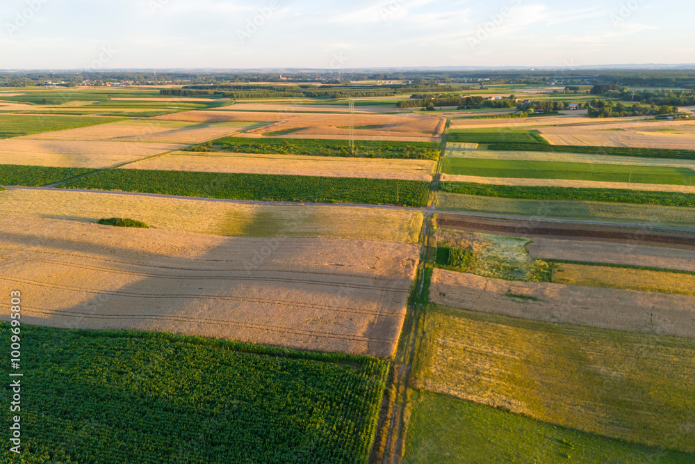 Fototapeta premium Aerial view of vast agricultural fields with a patchwork of green and gold hues under a clear sky, showcasing the beauty of rural landscapes.